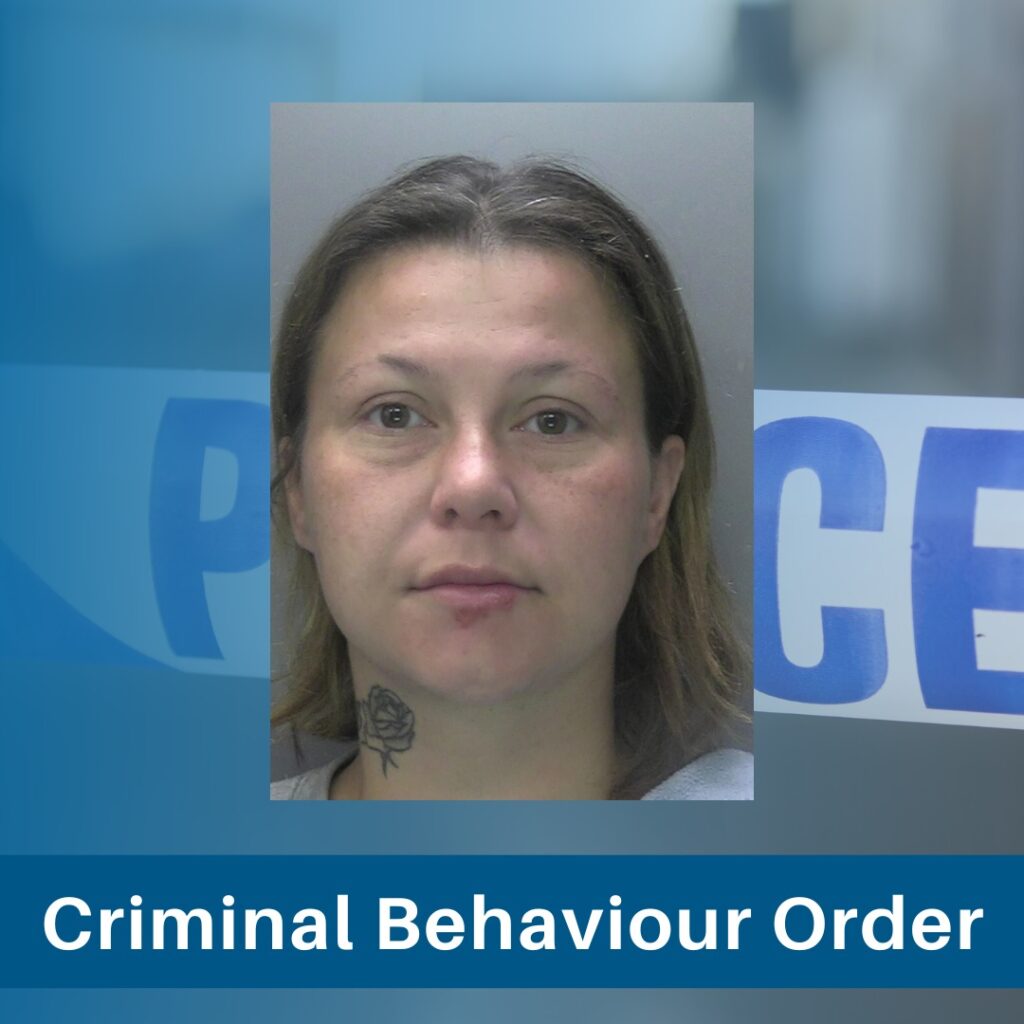 Prolific thief Eleanor Purssey